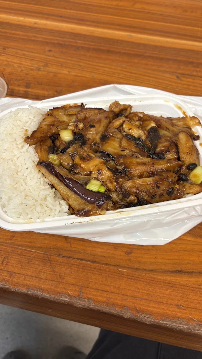eggplant with sliced chicken on rice 茄子鸡肉饭